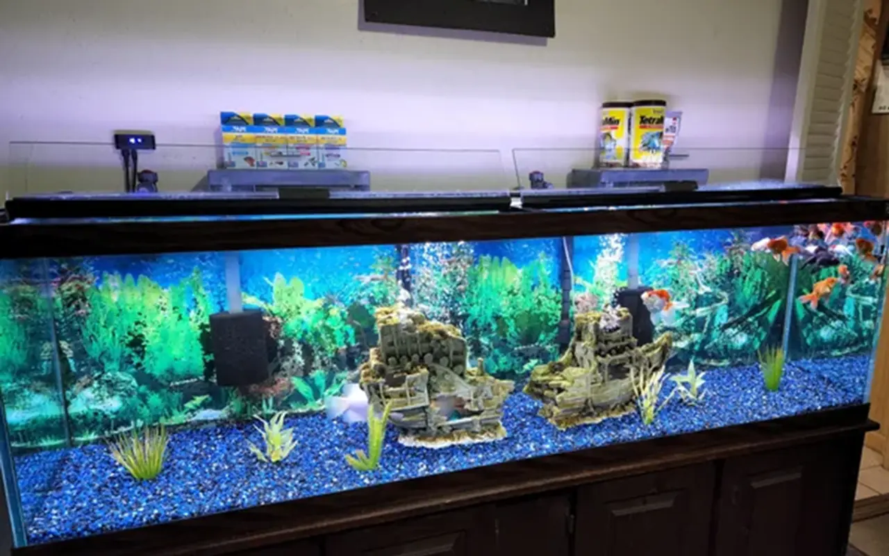 Illustrative example of fish tank led strip from Google Search