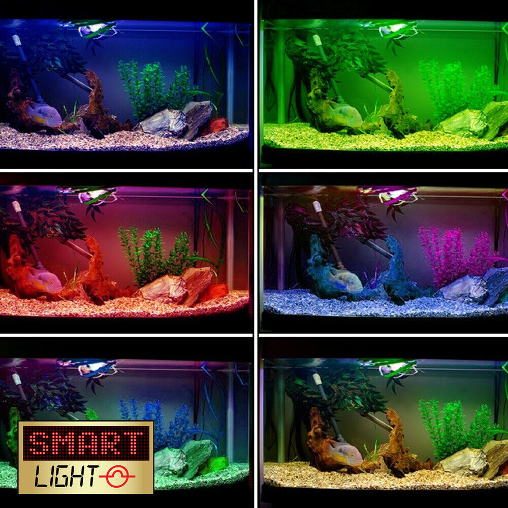 Illustrative example of fish tank led strip from Google Search