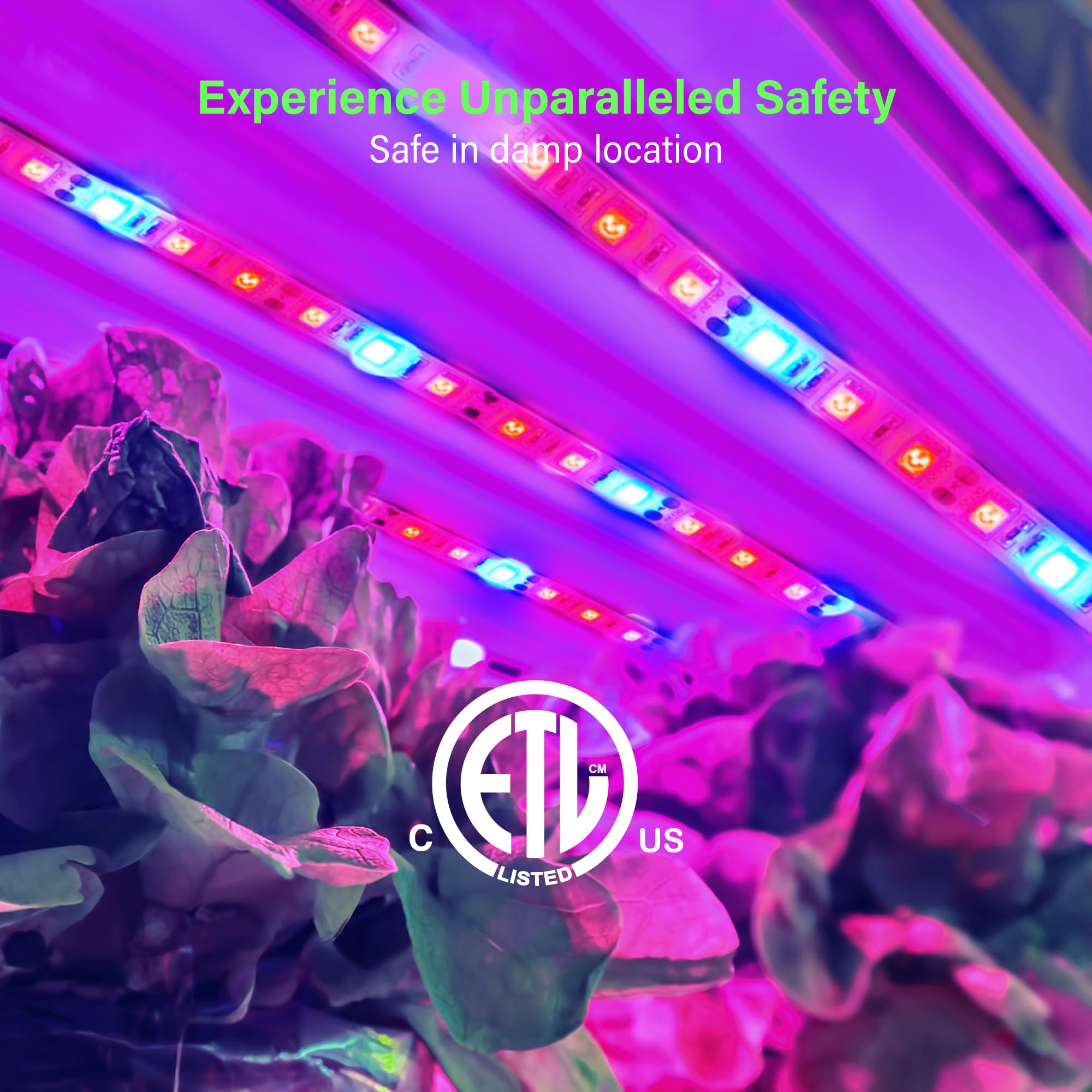 Illustrative example of growing light strips