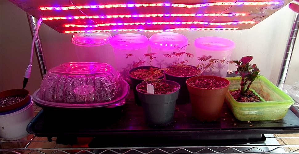 Illustrative example of growing light strips