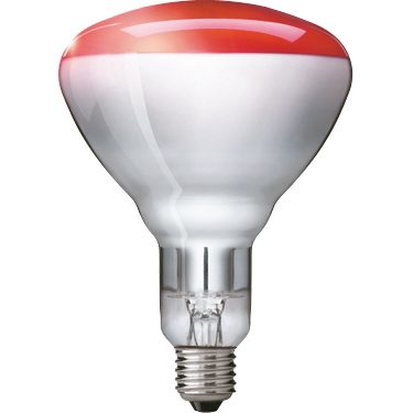 Illustrative example of infrared led light