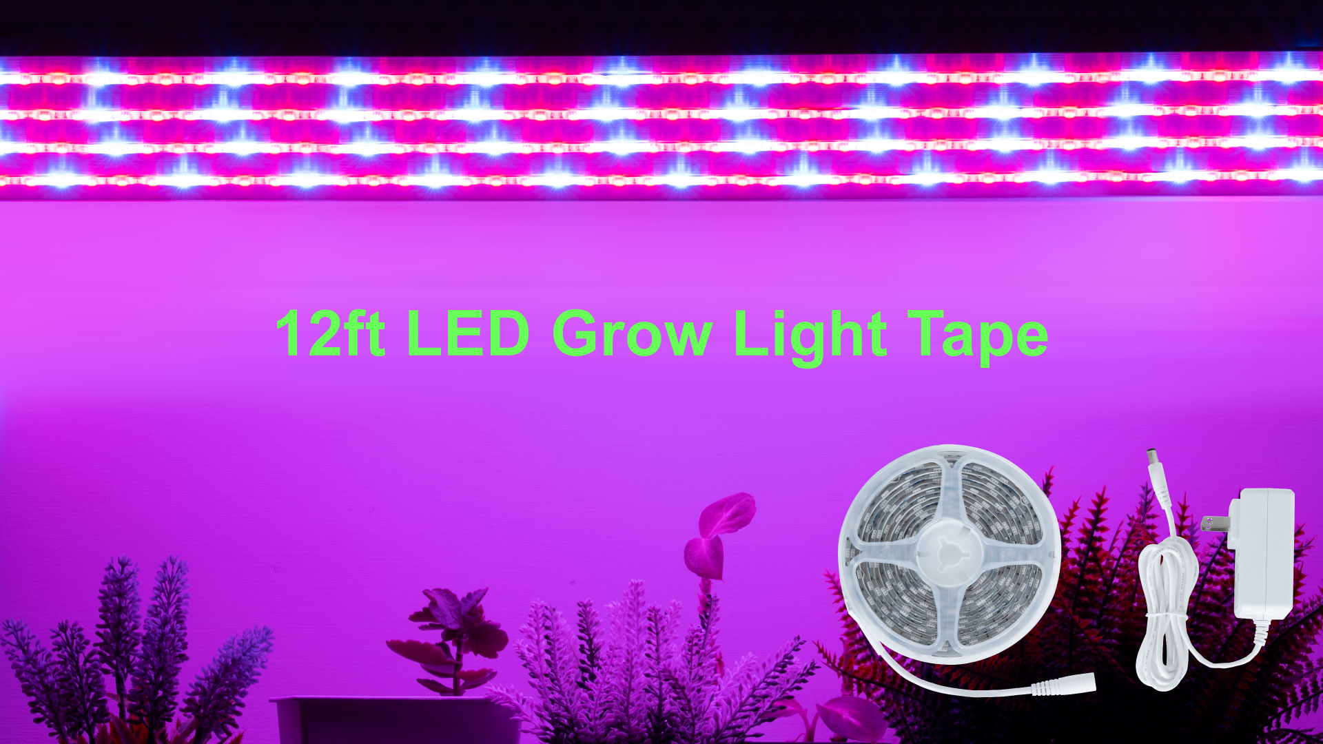 Illustrative example of led grow light strips from Google Search
