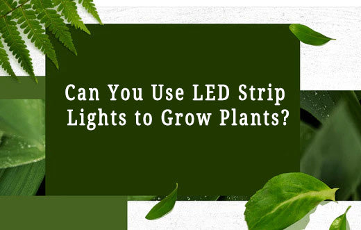 Illustrative example of led plant light strips from Google Search