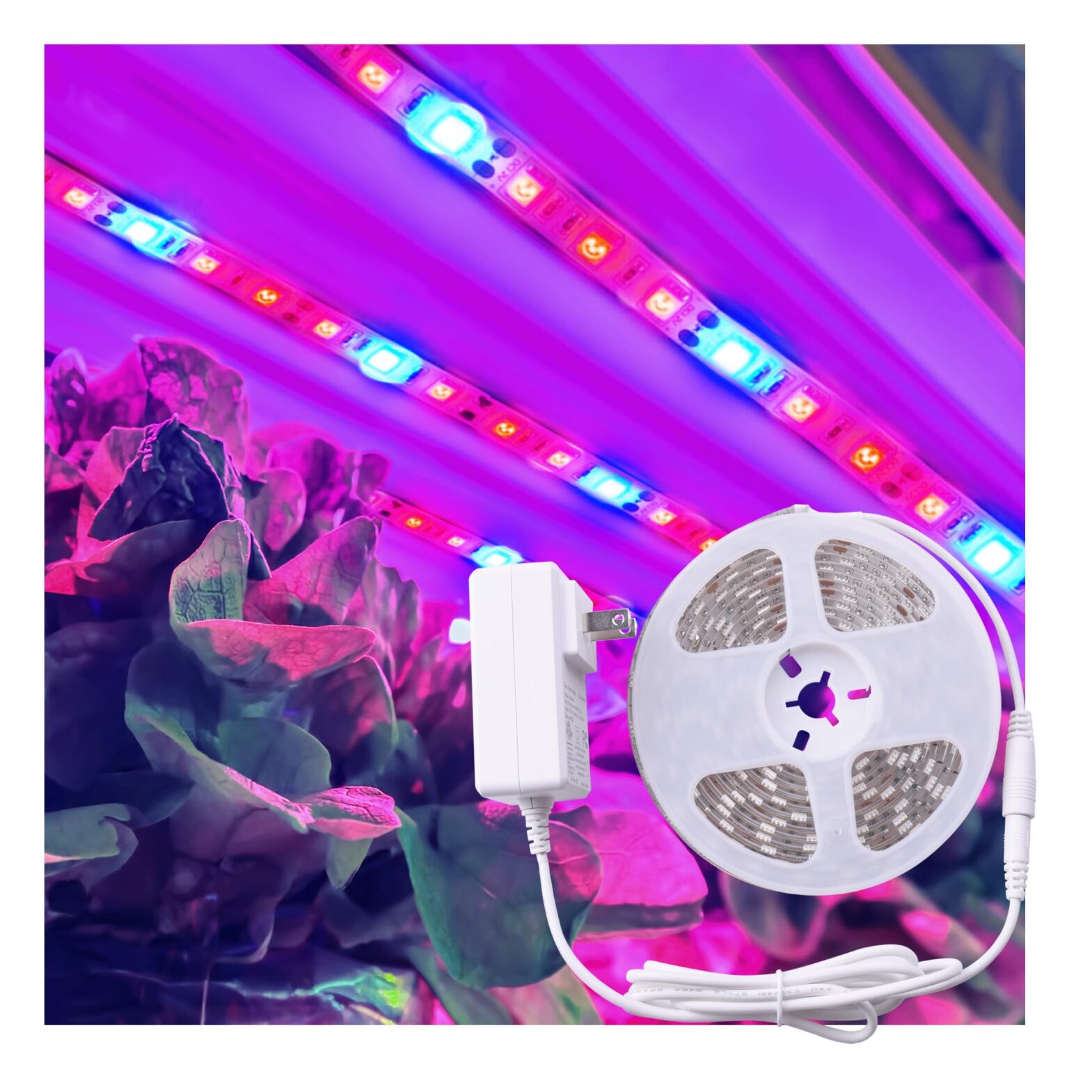 Illustrative example of led plant light strips from Google Search