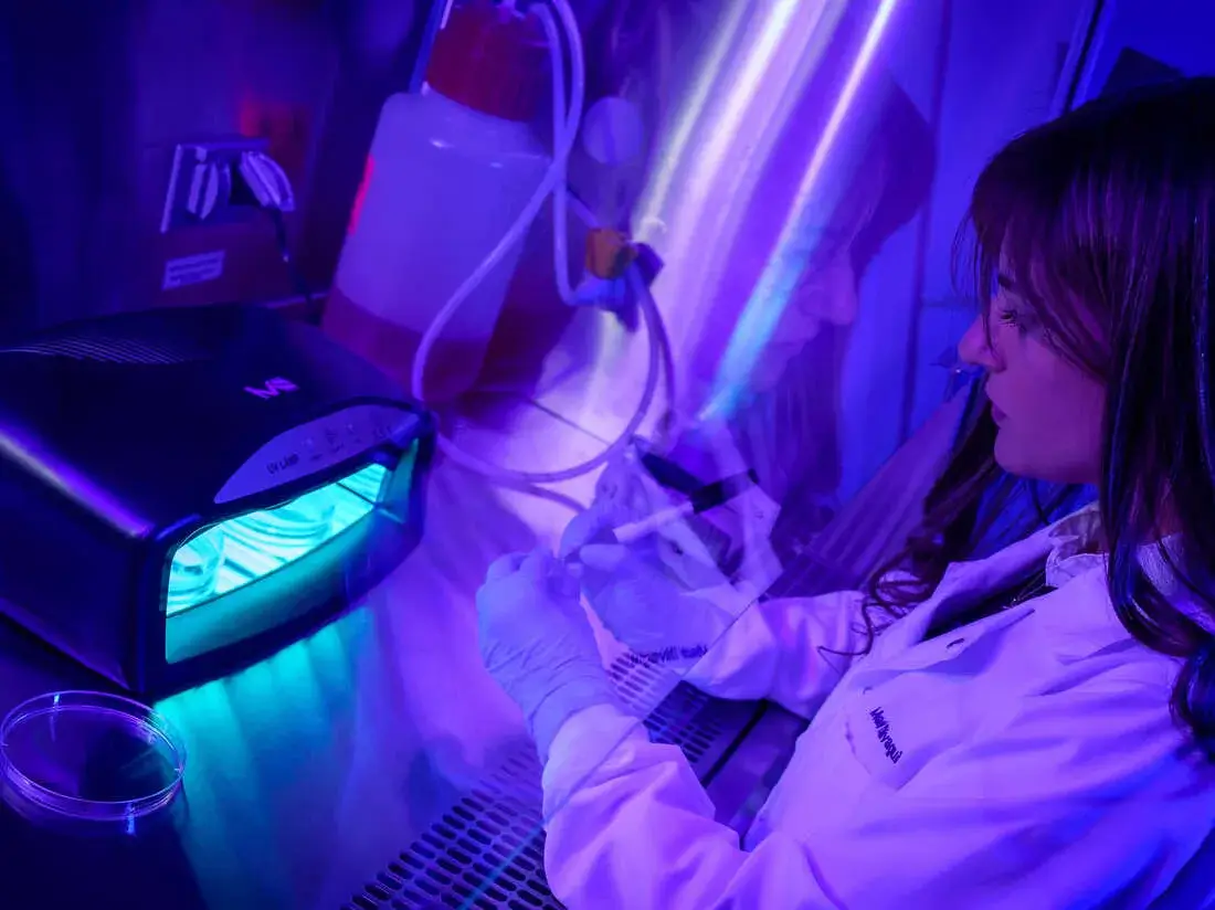 Illustrative example of uv led strip from Google Search