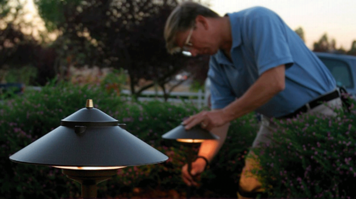 low voltage landscape lighting ideas