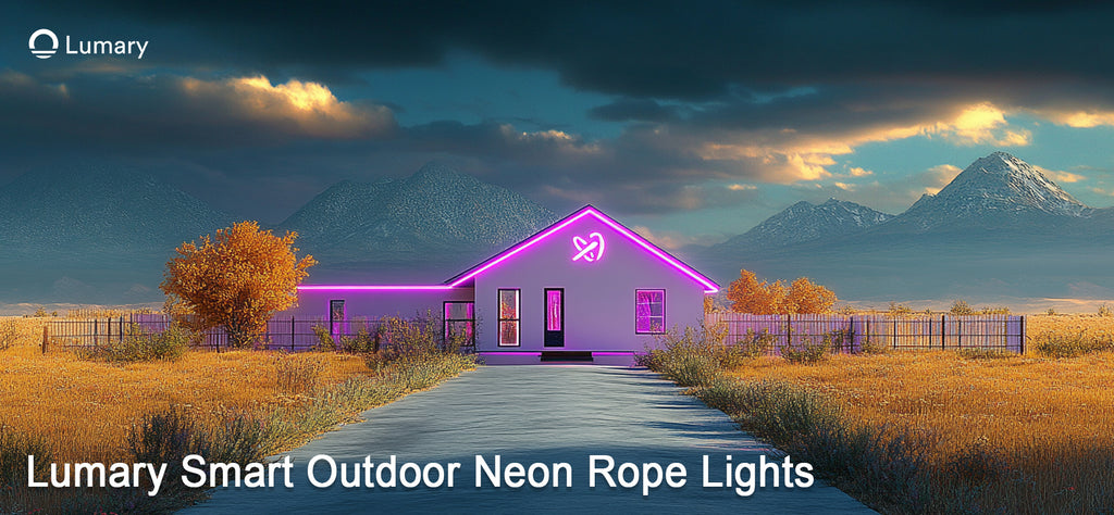 best outdoor rope lighting