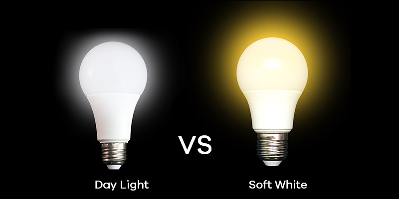 soft white vs daylight led Beauty STC