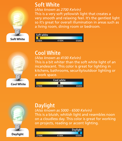 soft white vs daylight led