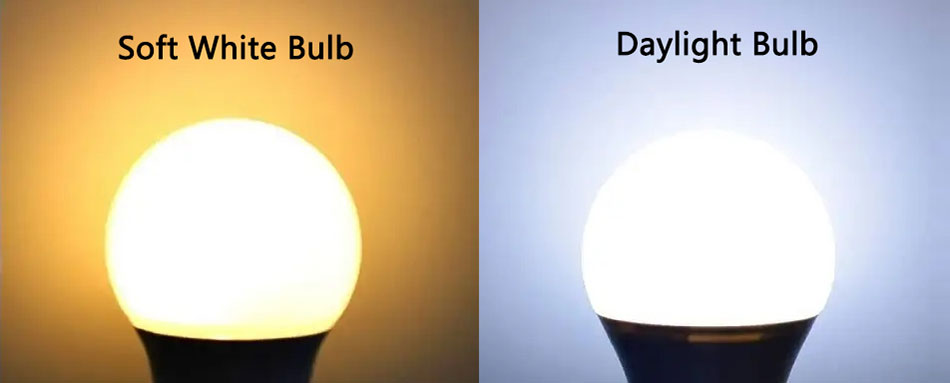 soft white vs daylight led