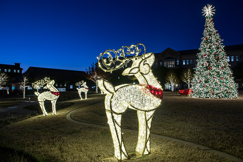 led lights xmas decorations