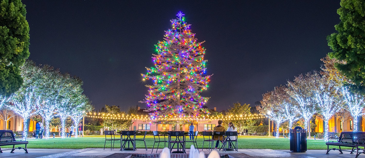 led lights xmas decorations