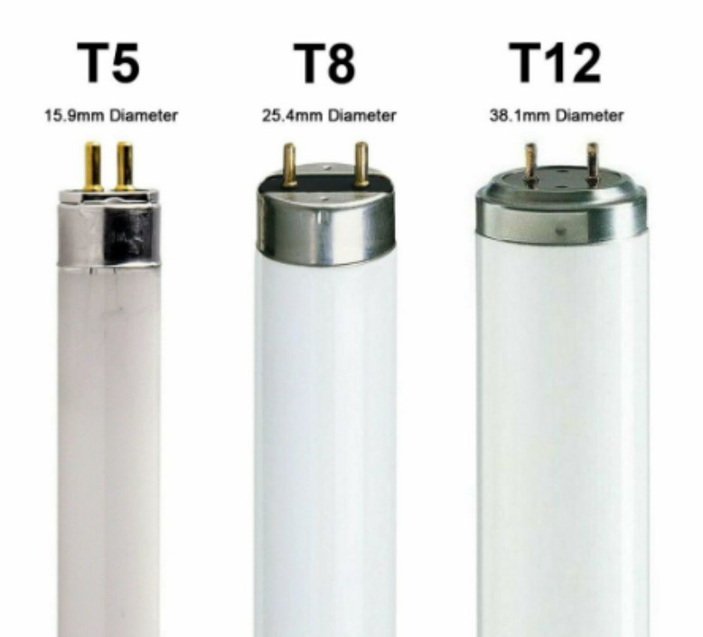 t8 vs t12 lights
