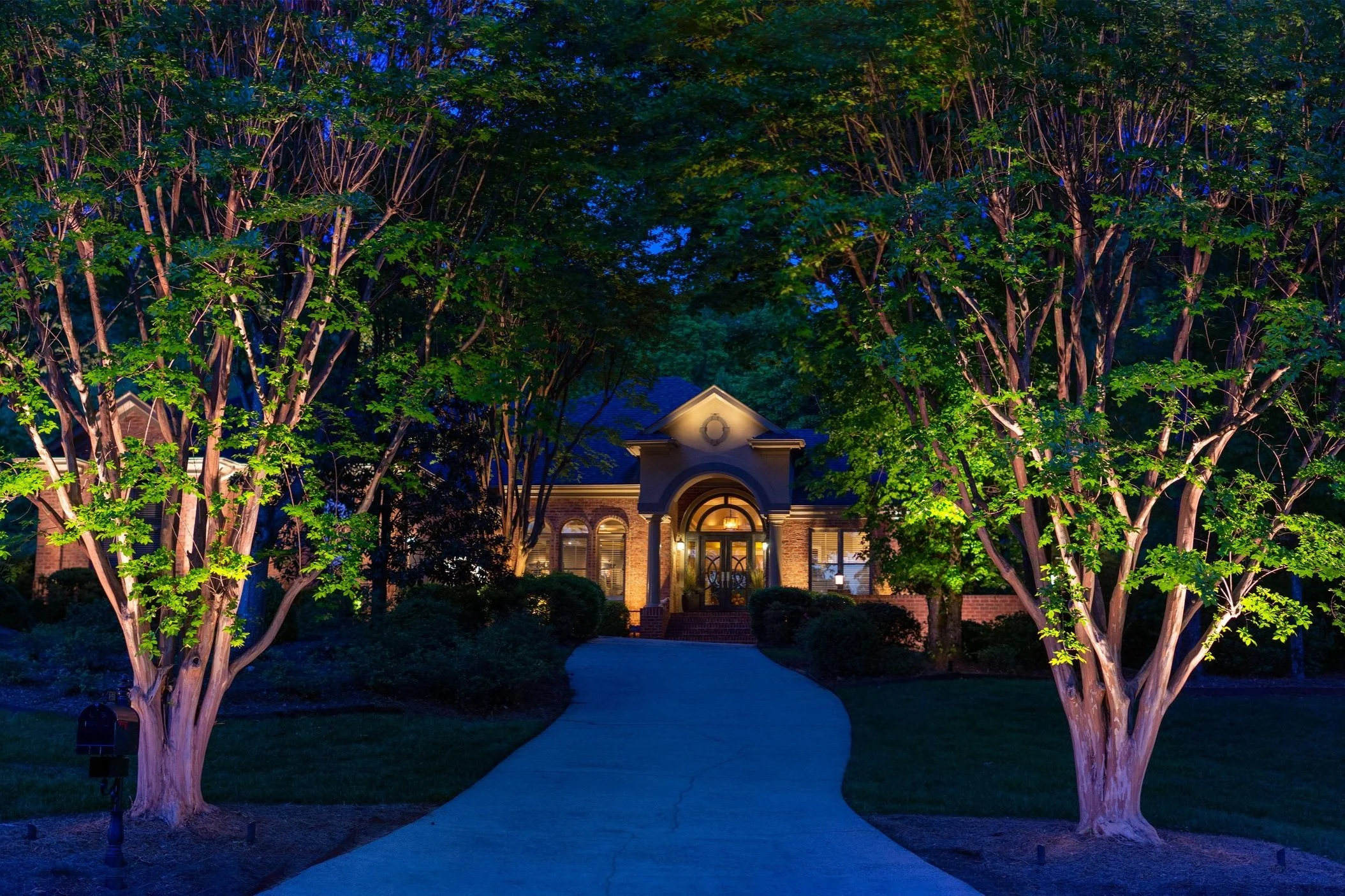 landscape lighting ideas for trees