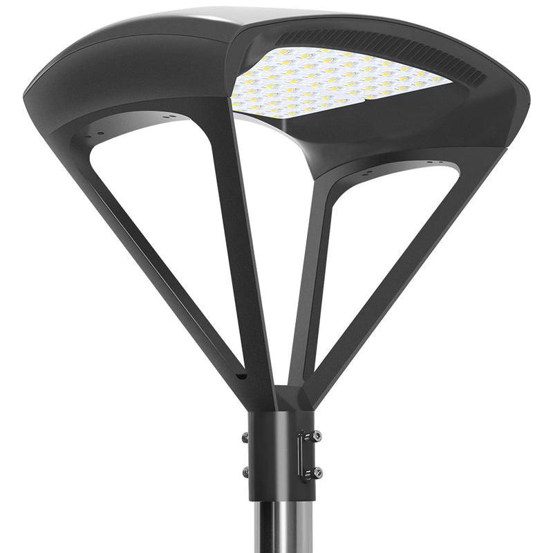 led lights spiders Beauty STC