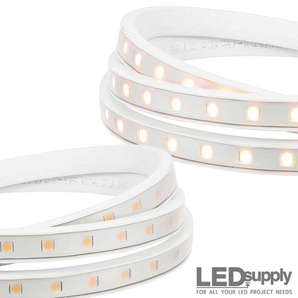 AC LED strip light