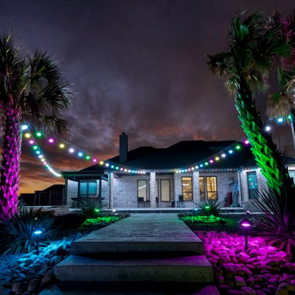 modern landscape lighting