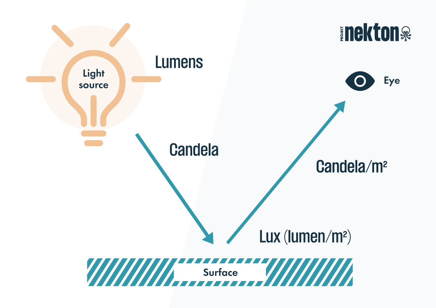 lumen candela