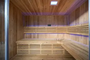 sauna led lights Beauty STC