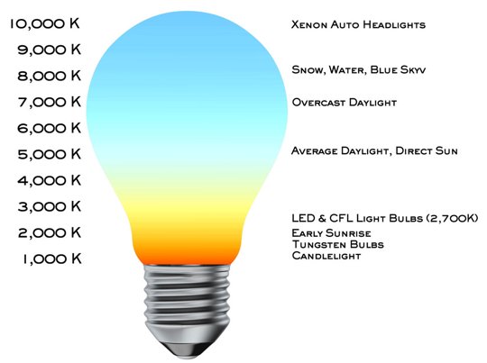 led light bulb sizes project