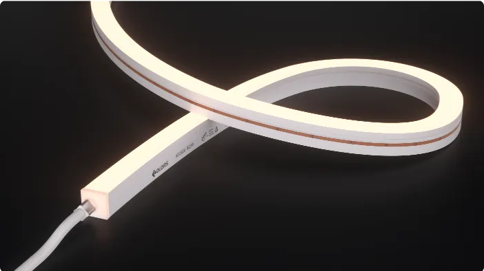 neon flex led strip project
