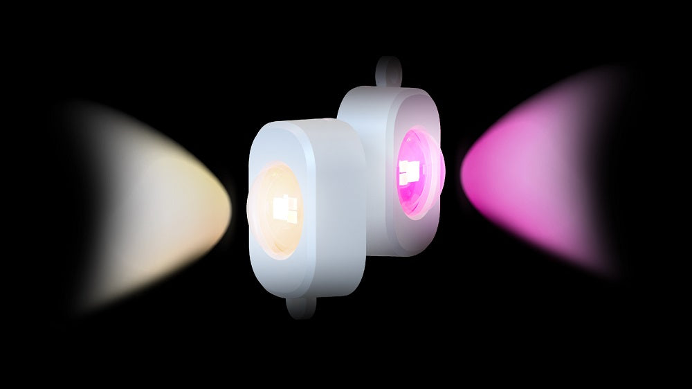 rgbww meaning project