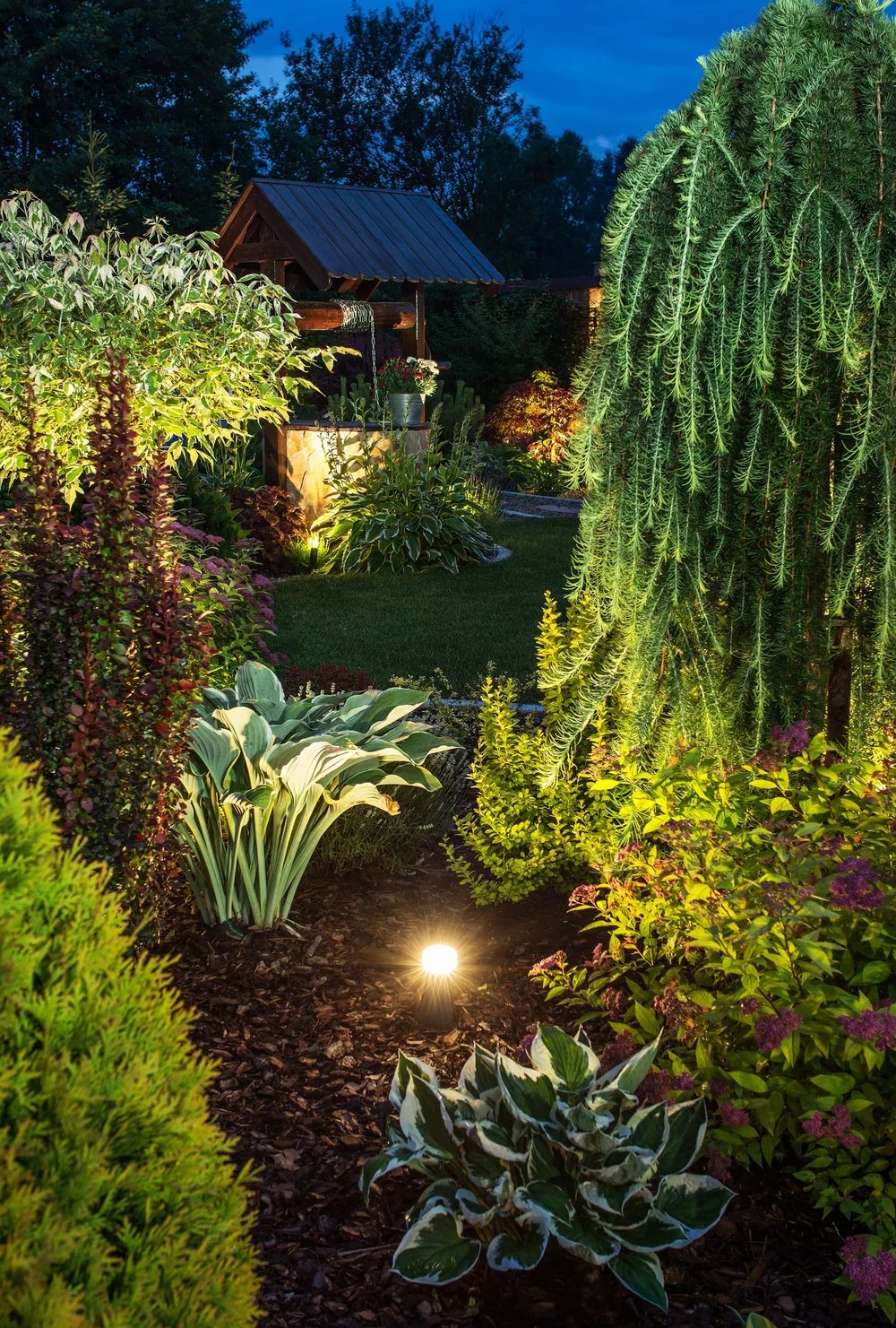 uplight landscape lighting project